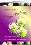 Birthday-Friend -Month Flower - November-Chrysanthemum card