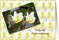 To wife on wedding anniversary - Two Flowers card