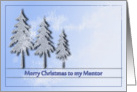 Christmas - Trees - Mentor card