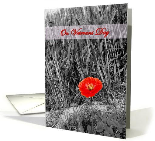Veterans day - Poppy flower card (719496)