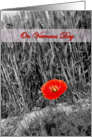 Veterans day - Poppy flower card