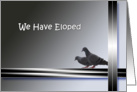 We have eloped announcement - 2 pigeons card