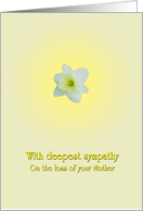 Sympathy on loss of mother- a lone daffodil flower card