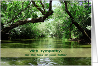 Sympathy on loss of...