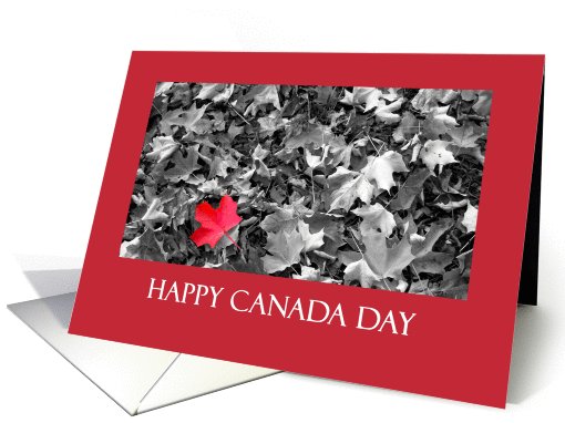 Canada day - Red maple leaf card (789392)