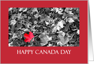 Canada day - Red maple leaf card