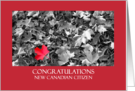 Congratulations new Canadian citizen card