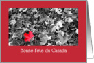 French Canada Day Card - Maple leaf card