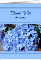 Thank you caregiver of elderly - purple hydrangea card