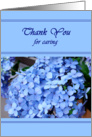 Thank you cancer caregiver - purple hydrangea card