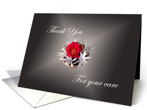 Thank You for care-from Cancer patient's family card (815646)