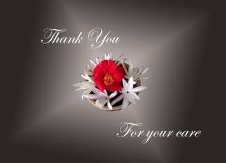 Thank You for care...