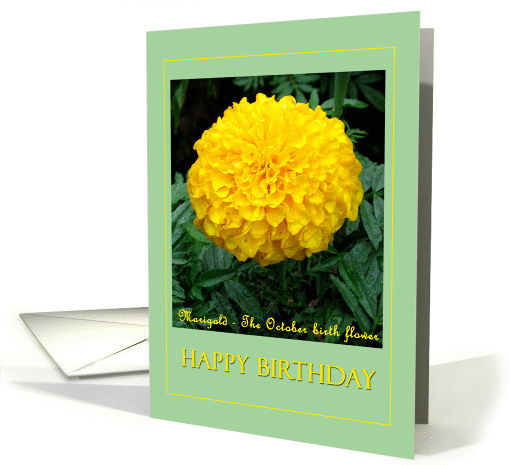 October birth month flower - Bright yellow Marigold card (844483)