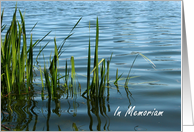 Serene scene Memorial Invitation card