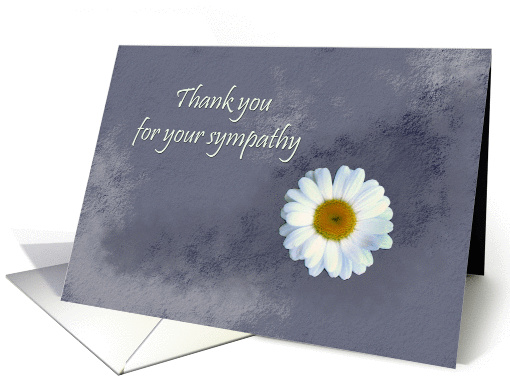 Daisy flower - Thank you for your sympathy card (890195)