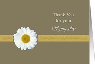 Thank You for Sympathy - Lone Daisy Flower Card