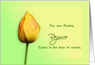 Easter greetings for Pastor with yellow Tulip flower card