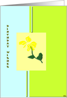 Birthday Wishes card
