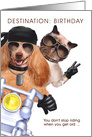 Funny Motorcycle Rider Birthday with Cat and Dog card