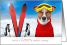 Skier Funny Have a Gnarly Season Dawg Winter Holiday card