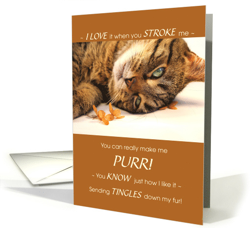 for Pet DAD on Father's Day from His Cat Funny card (1478898)