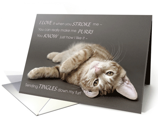 for Pet DAD or MOM Funny Birthday from the Cat card (1481238)