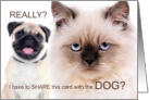 Funny Birthday from the Pets Mad Cat and Dog card