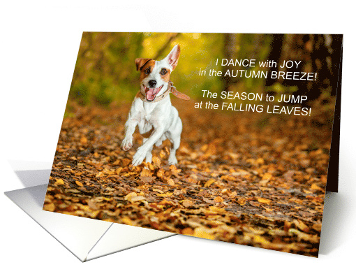 from the Dog Thanksgiving Dance of Joy JRT card (1485544)