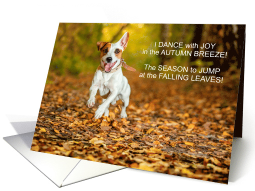 from the Dog Thanksgiving Dance of Joy JRT card (1485544)