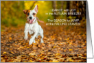 from the Dog Thanksgiving Dance of Joy JRT card