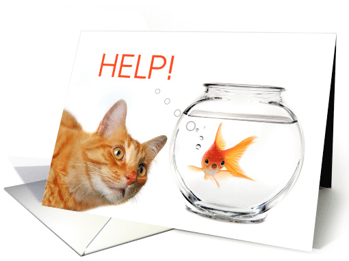 Help Here if You Need Me Funny Cat with Goldfish card (1508980)
