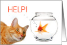 Help Here if You Need Me Funny Cat with Goldfish card