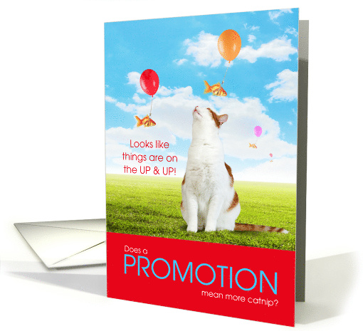 Funny Promotion Congratulations for the Cat Lover card (1508992)