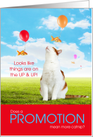 Funny Promotion Congratulations for the Cat Lover card