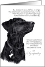 Labrador Retriever Dog Pet Sympathy Euthanasia card