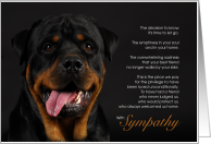 Rottweiler Dog Pet Sympathy Euthanasia card