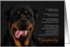 Rottweiler Dog Pet Sympathy Euthanasia card