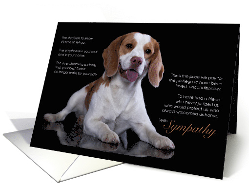 Beagle Dog Pet Sympathy Euthanasia card (1511544)