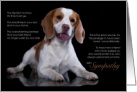 Beagle Dog Pet Sympathy Euthanasia card