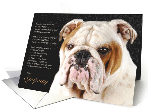 English Bulldog Dog Pet Sympathy Euthanasia card (1511554)