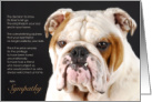 English Bulldog Dog Pet Sympathy Euthanasia card