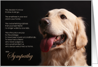 Golden Retriever Dog Pet Sympathy Euthanasia card
