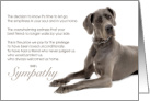 Great Dane Dog Pet Sympathy Euthanasia card