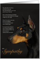 Doberman Pinscher Dog Pet Sympathy Euthanasia card