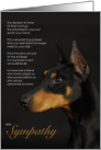 Doberman Pinscher Dog Pet Sympathy Euthanasia card