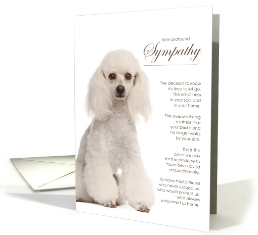 White Poodle Dog Pet Sympathy Euthanasia card (1514854)