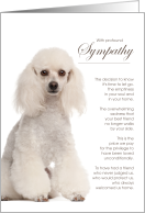 White Poodle Dog Pet Sympathy Euthanasia card