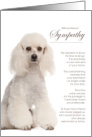 White Poodle Dog Pet Sympathy Euthanasia card