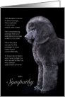Standard Poodle Black Dog Pet Sympathy Euthanasia card