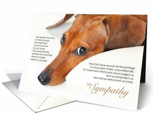 Smooth Dachshund Dog Pet Sympathy Euthanasia card (1514868)